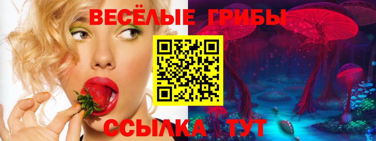 Белорецк  Галлюциногенные грибы ЛСД  Вход с VPN 